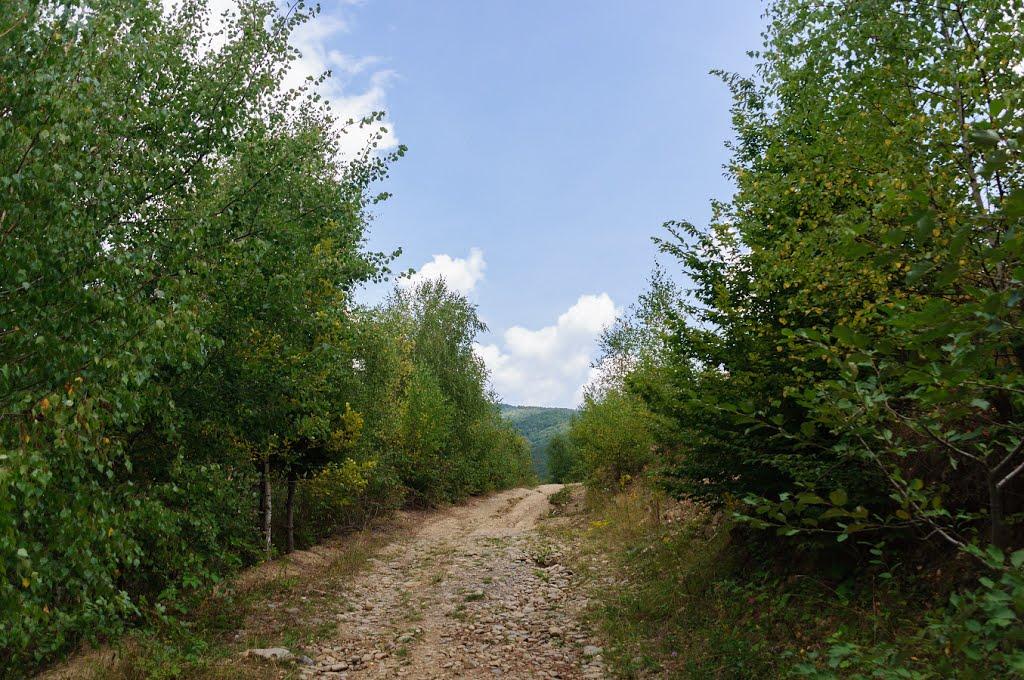 Вишка з panoramio.com - Вышка