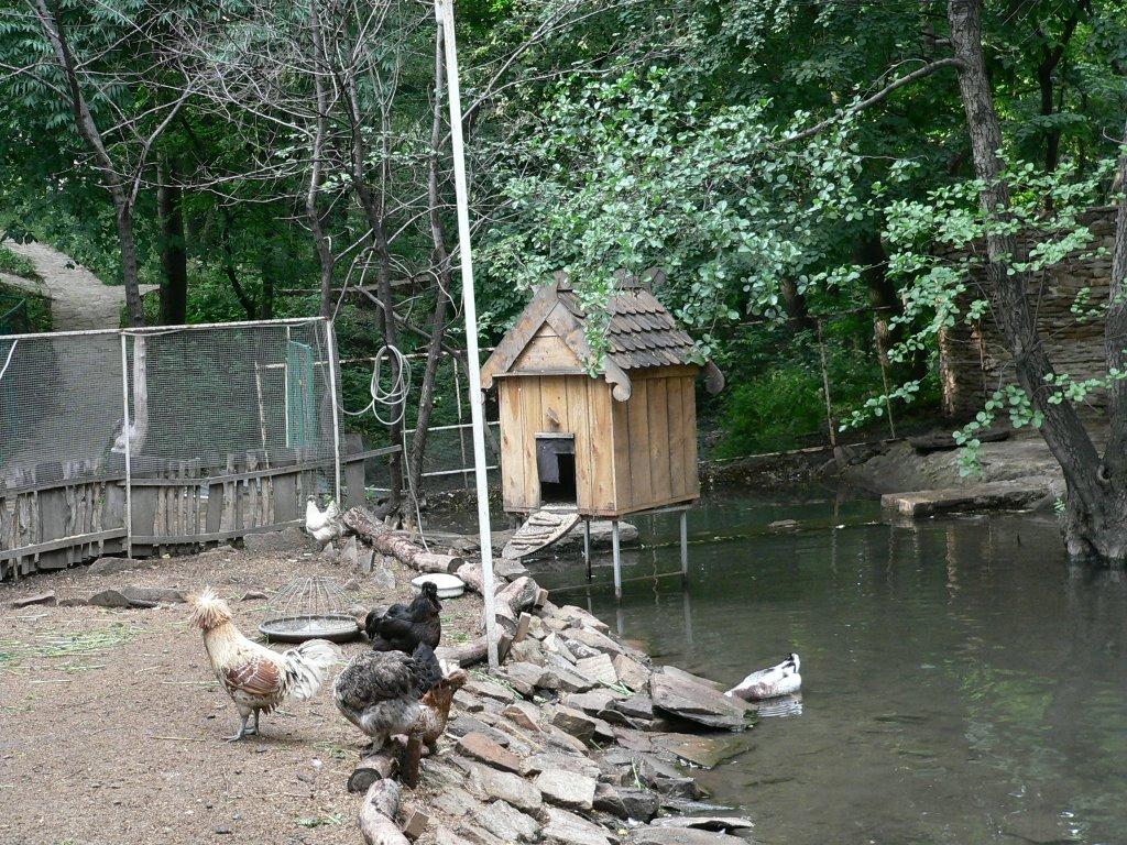 Алчевськ з panoramio.com (ч.2) - Алчевськ