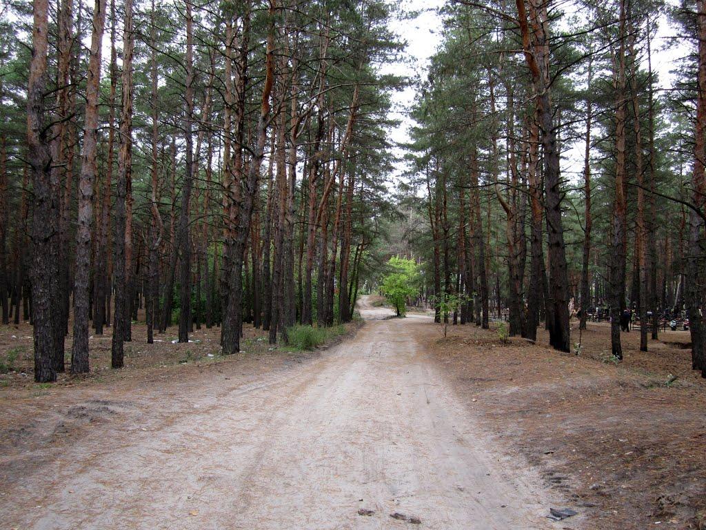 Безлюдівка з panoramio.com (ч.2) - Безлюдівка