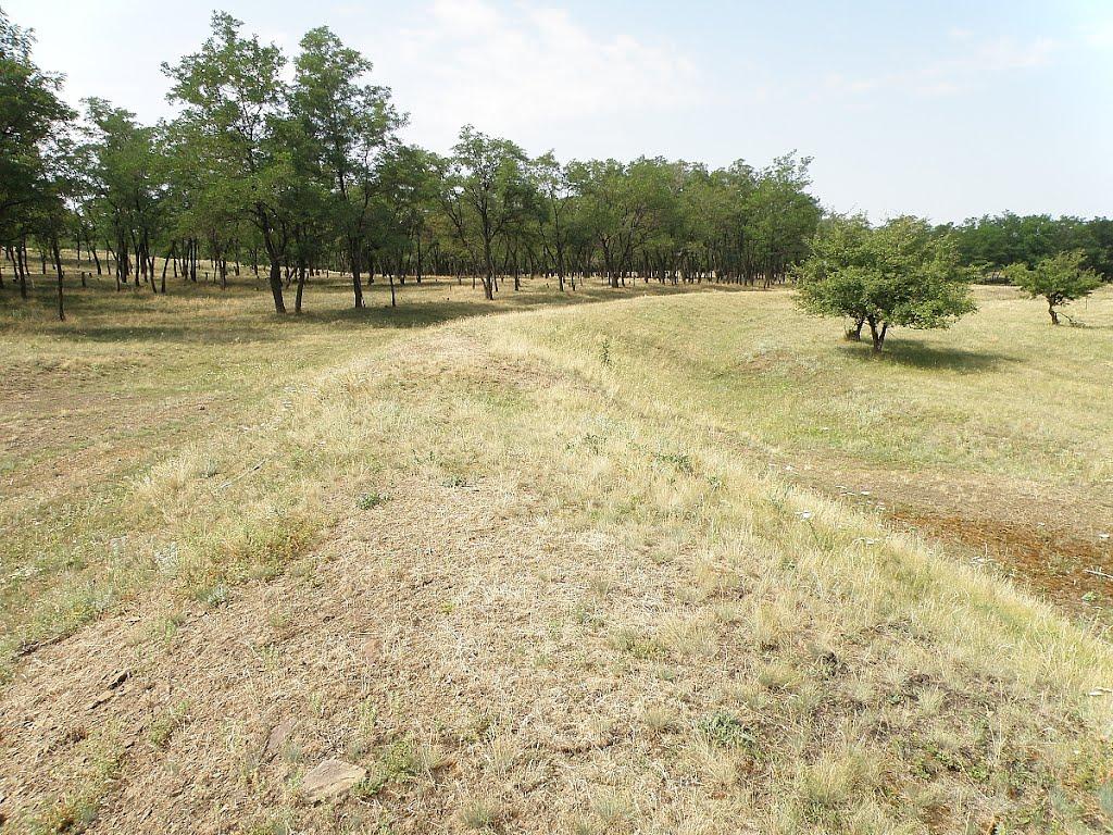 Міусинськ з panoramio.com (ч.2) - Миусинск