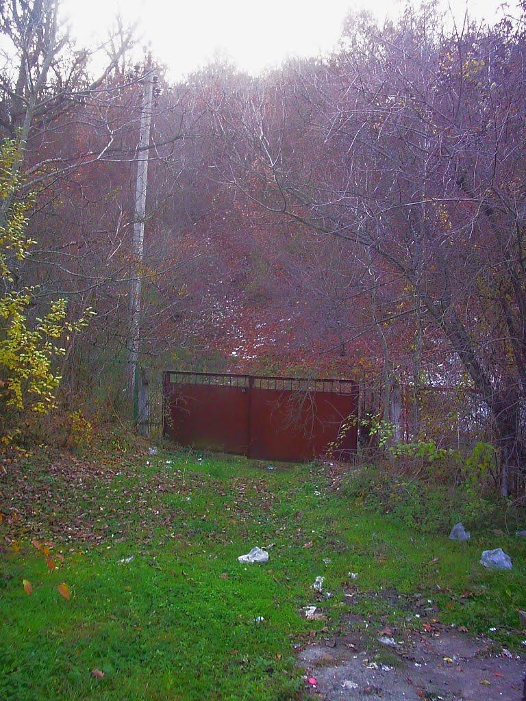 Куйбишеве з panoramio.com (ч.2) - Куйбышево