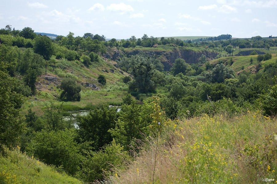 Буки з panoramio.com - Буки