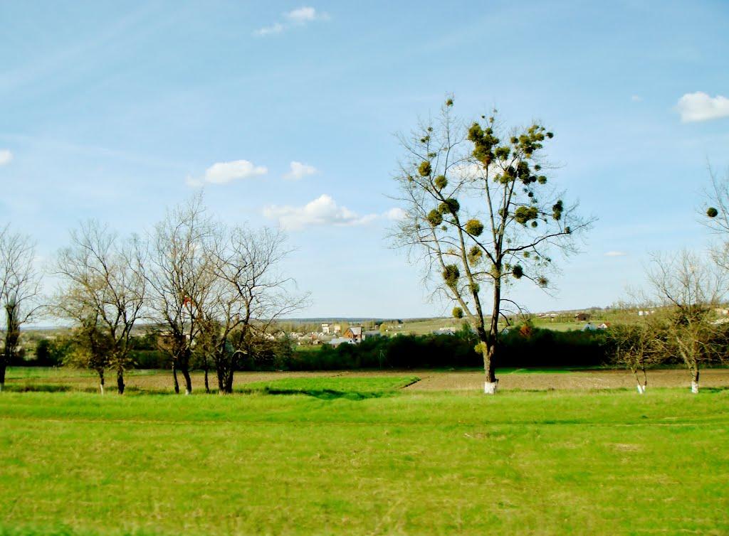 Гудзівка з panoramio.com - Гудзовка