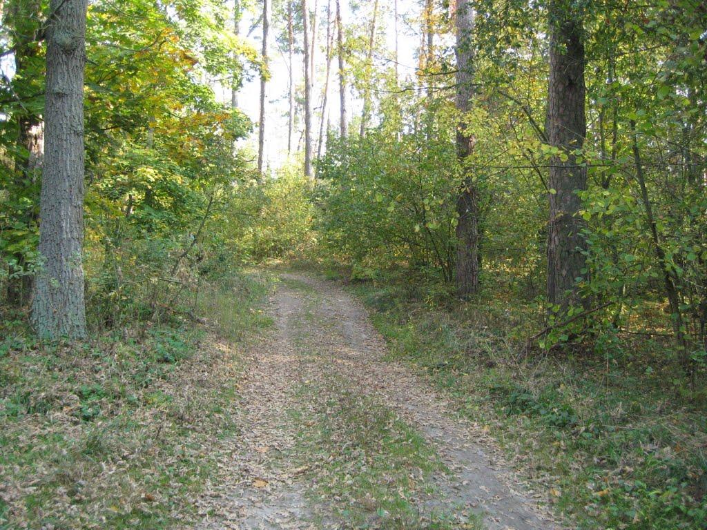 Горенка з panoramio.com - Горенка