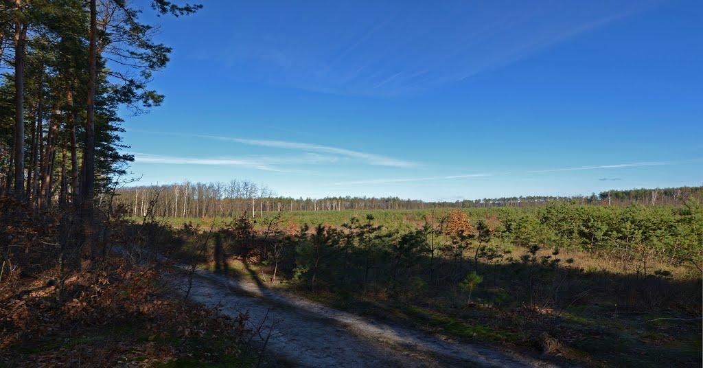 Горенка з panoramio.com - Горенка
