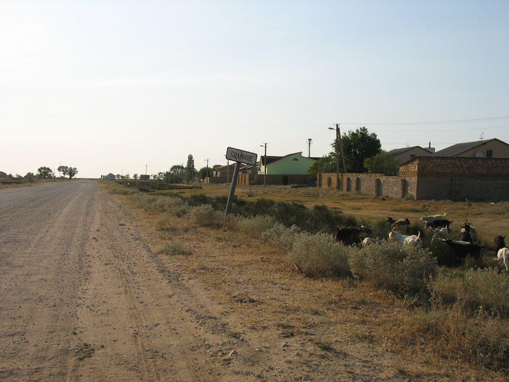 Соляне з panoramio.com - Соляне