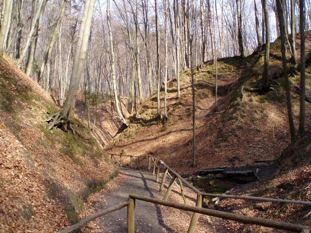 Козулька з panoramio.com - Козулька