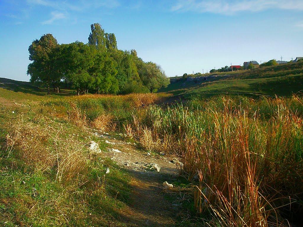 Трудове з panoramio.com - Трудове