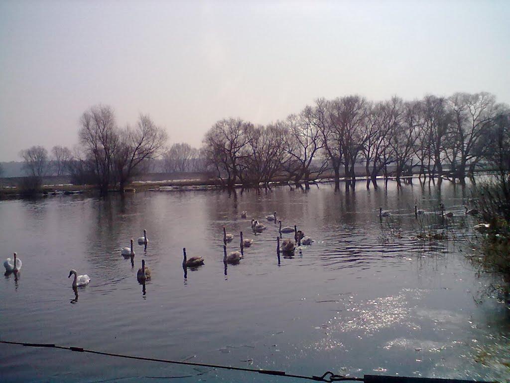 Червоноград з panoramio.com - Червоноград