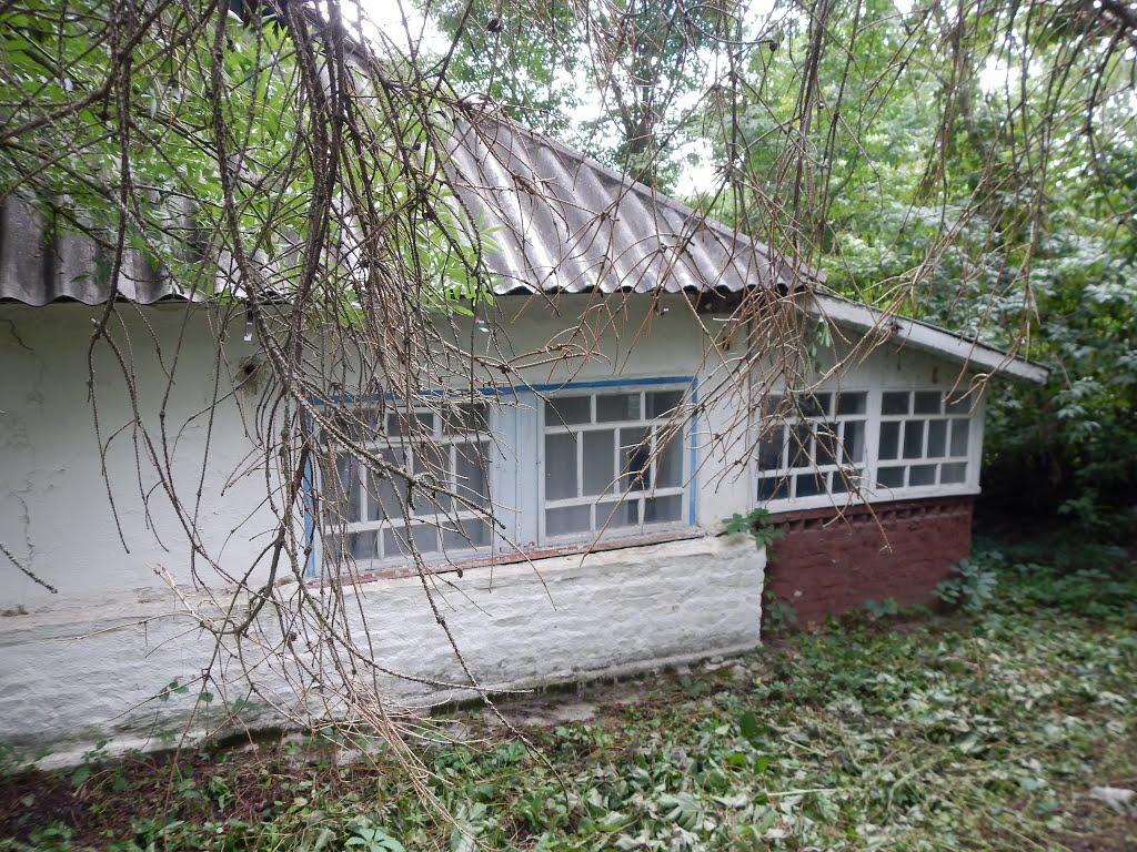 Черемошне з panoramio.com - Черемошне