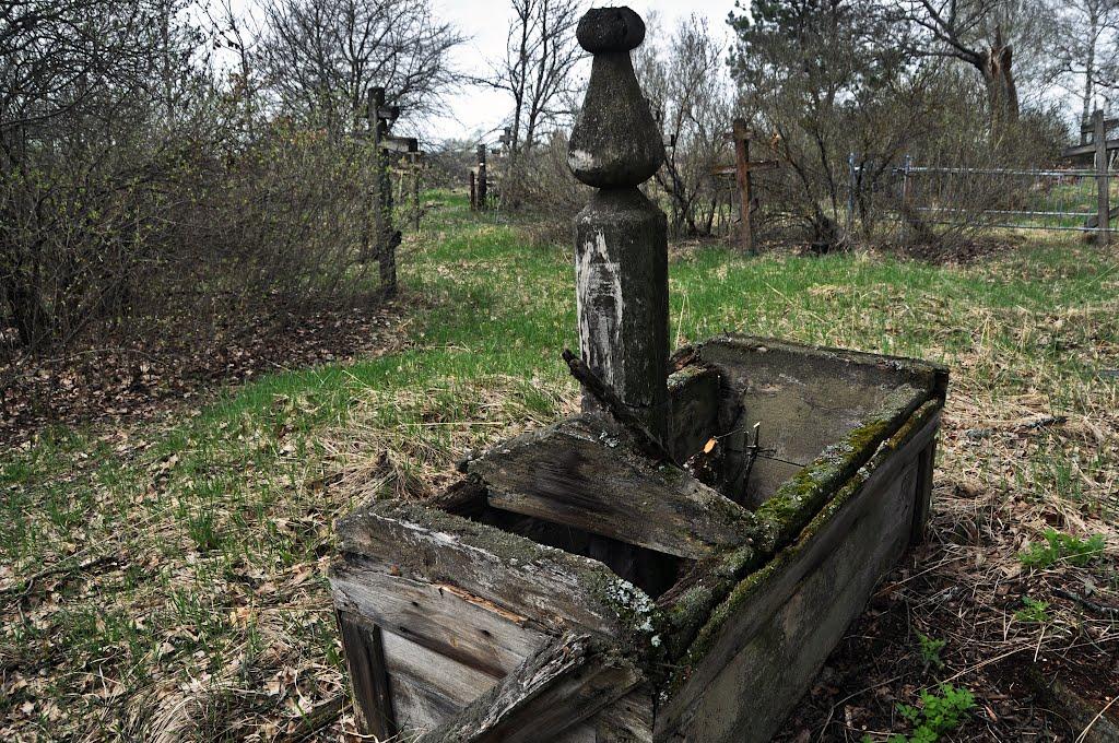 Черемошна з panoramio.com - Черемошна