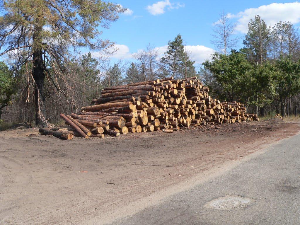 Черкаське з panoramio.com - Черкаське
