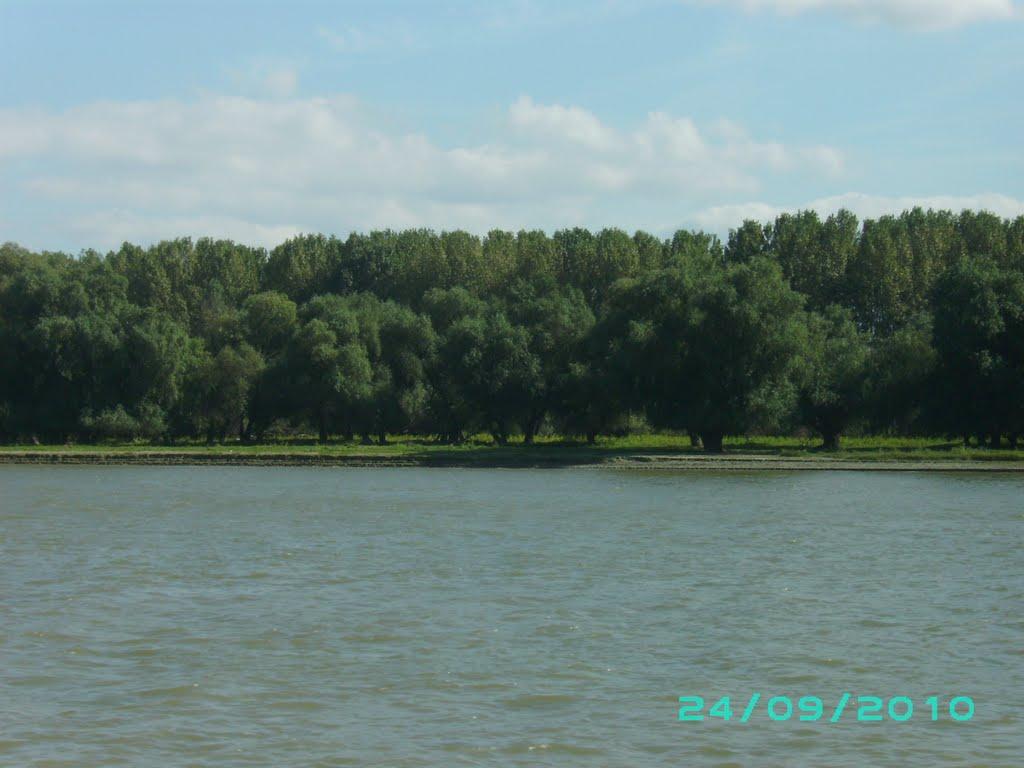 Вилкове з panoramio.com (ч.2) - Vylkove