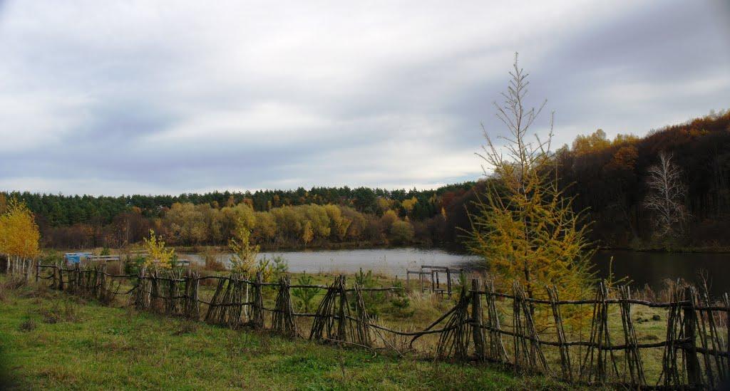 Піщатинці з panoramio.com - Піщатинці