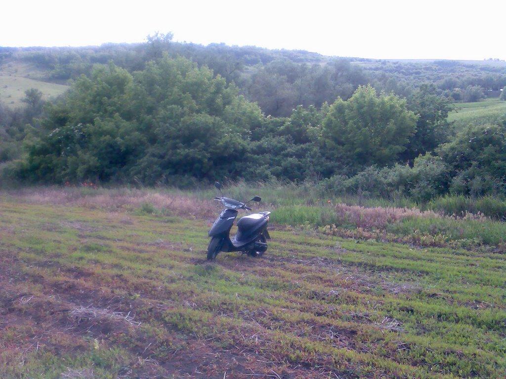 Гонората з panoramio.com - Гонората