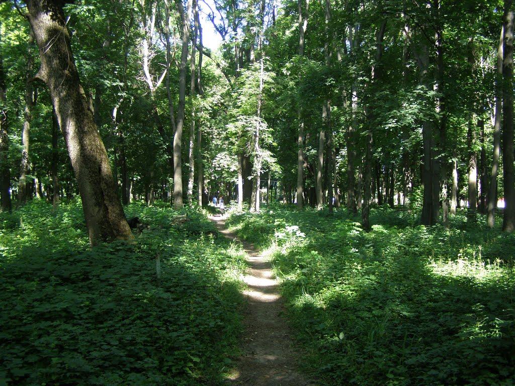 Монастирище з panoramio.com - Монастирище