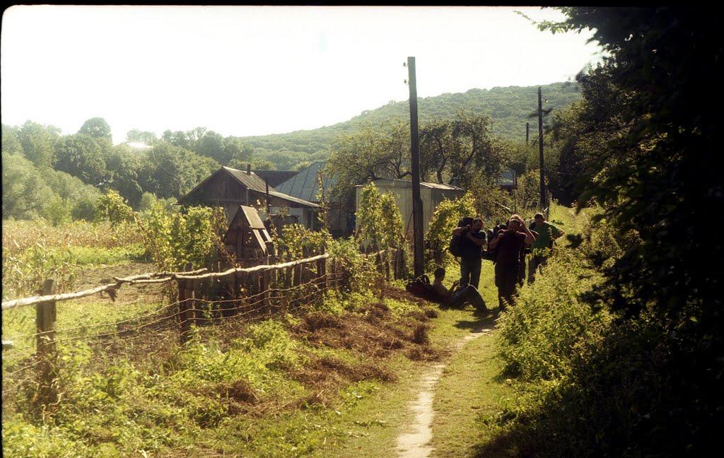 Кринцілів з panoramio.com - Kryntsiliv