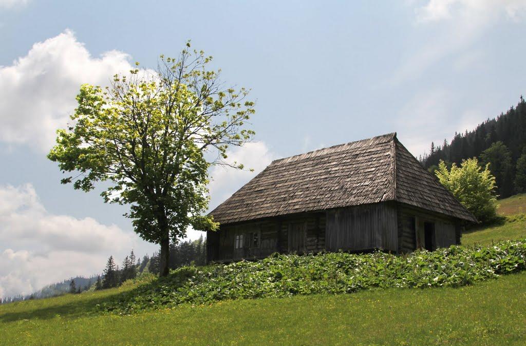 Синевирська Поляна з panoramio.com - Синевирская Поляна