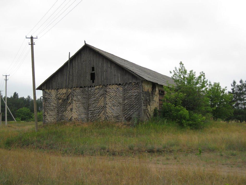 Розсошинці з panoramio.com - Rozsoshyntsi