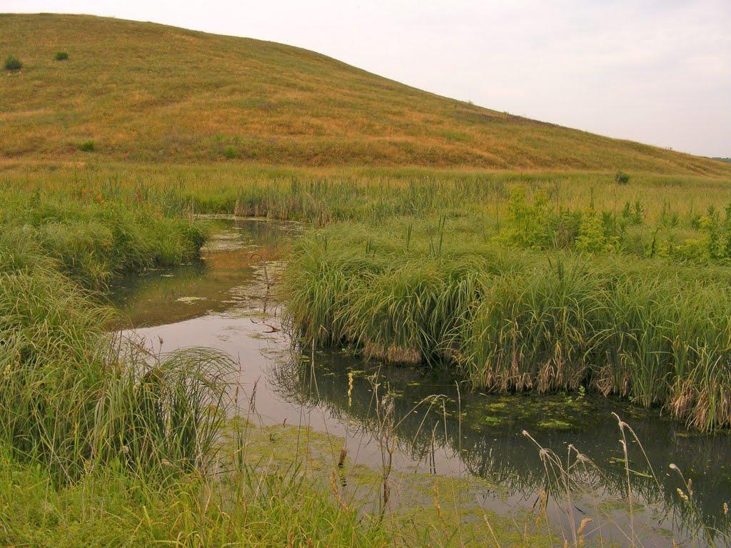 Лозове з panoramio.com - Лозовое