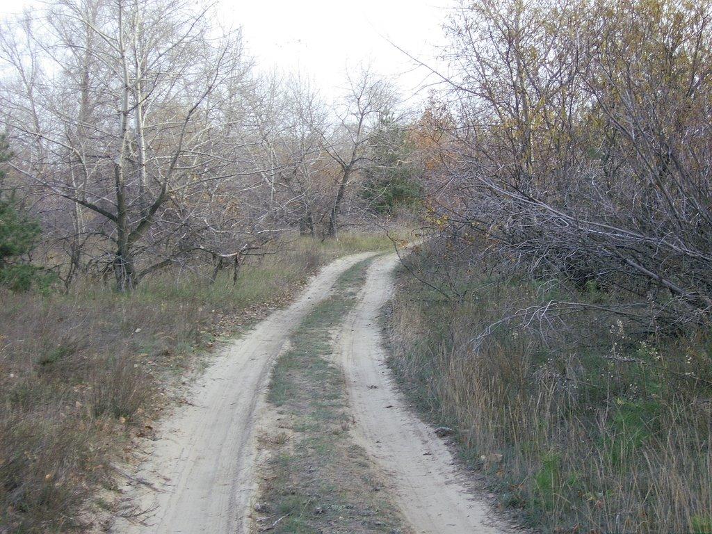 Кряківка з panoramio.com - Кряківка