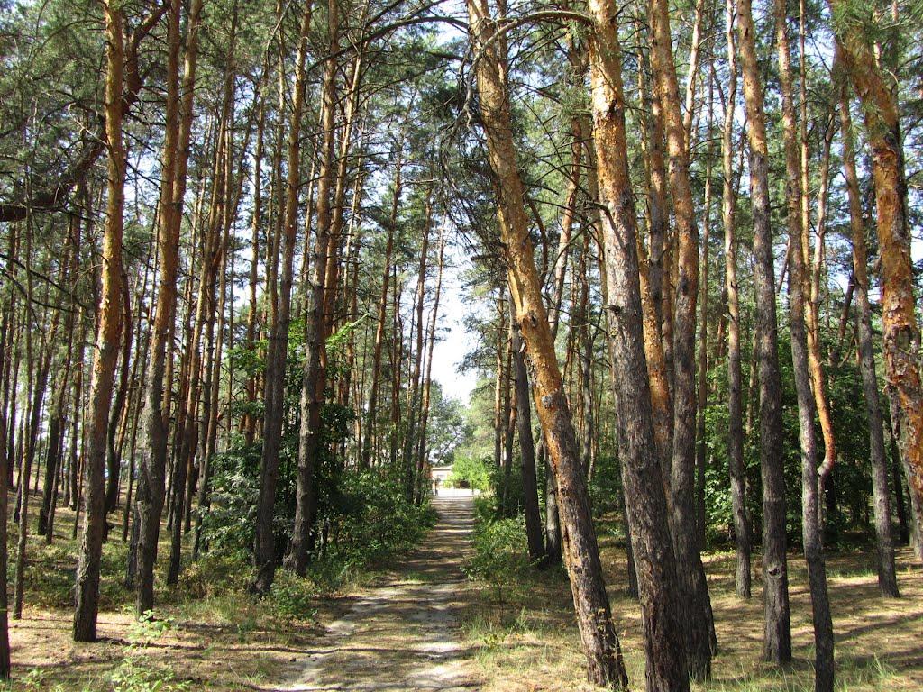 Щурове з panoramio.com - Щурово