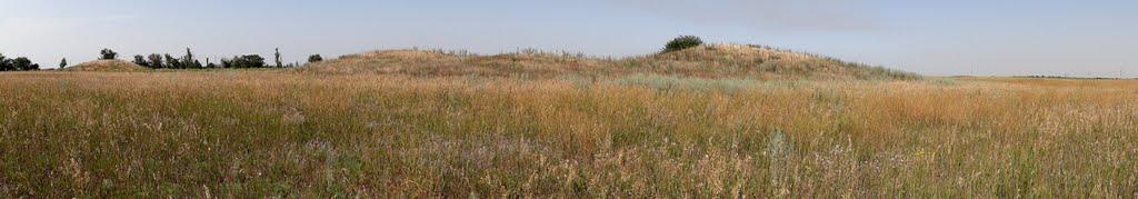 Велика Знам'янка з panoramio.com - Велика Знам'янка