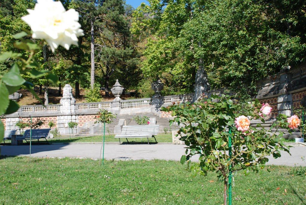Масандра з panoramio.com - Masandra