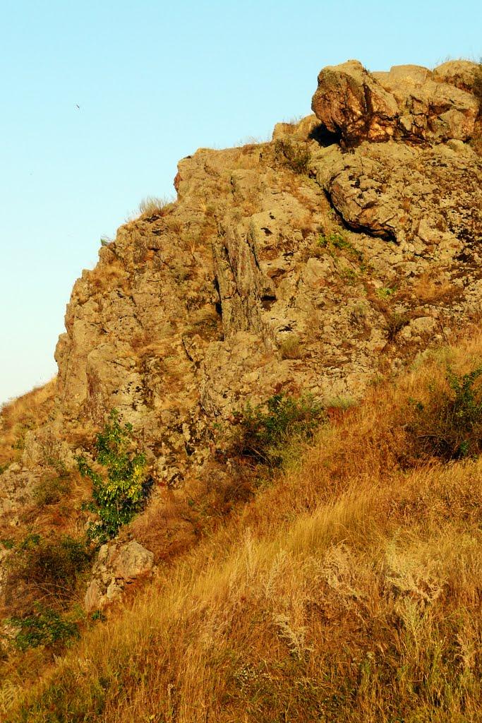 Староласпа з panoramio.com - Староласпа