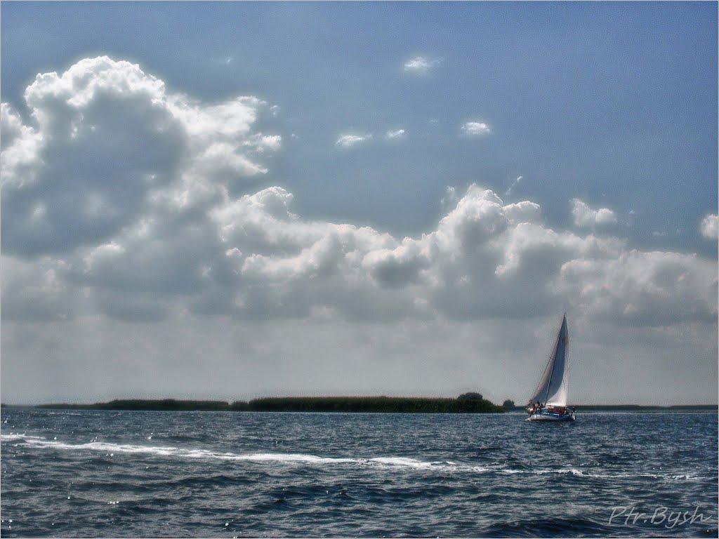 Малокатеринівка з panoramio.com - Малокатериновка