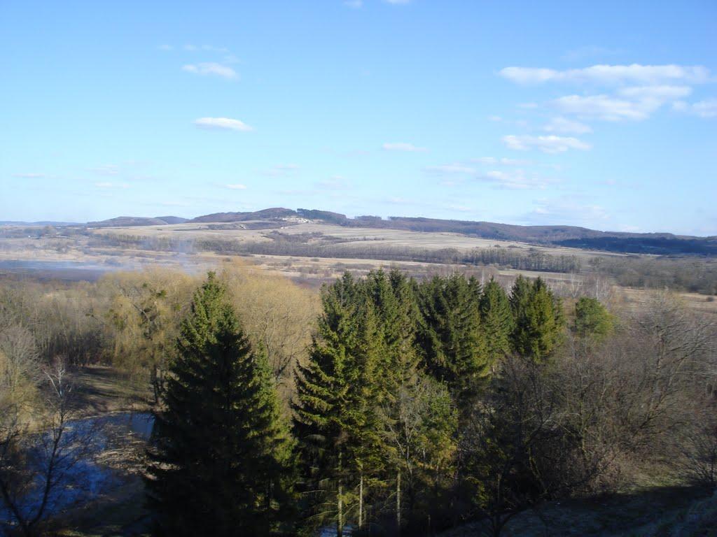 Олесько з panoramio.com - Олесько
