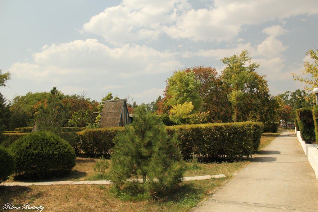 Заозерне з panoramio.com - Zaozerne