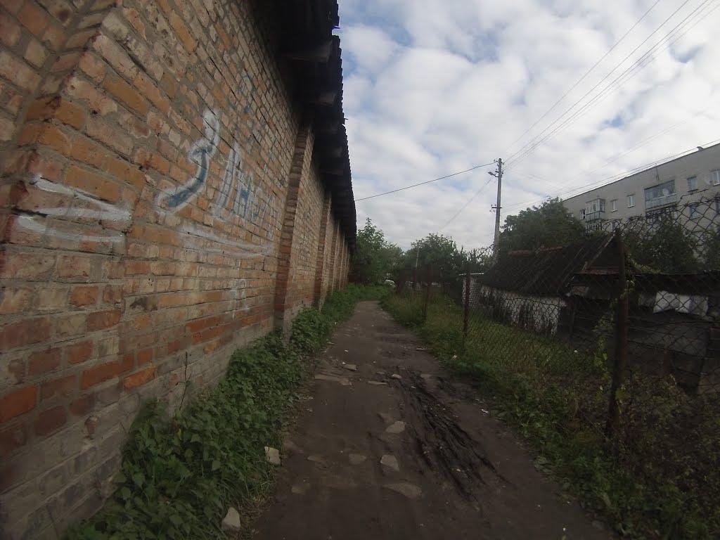 Новоград-Волинський з panoramio.com (ч.3) - Новоград-Волинський