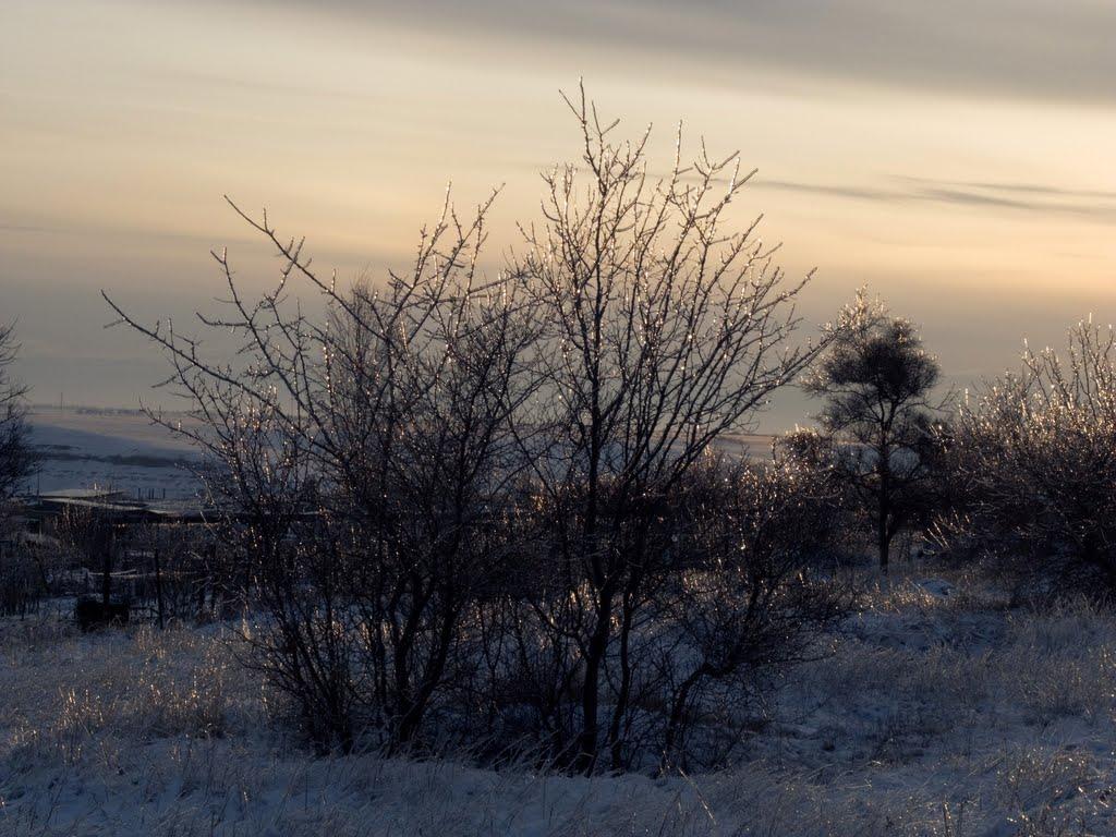 Шкільне з panoramio.com - Школьное