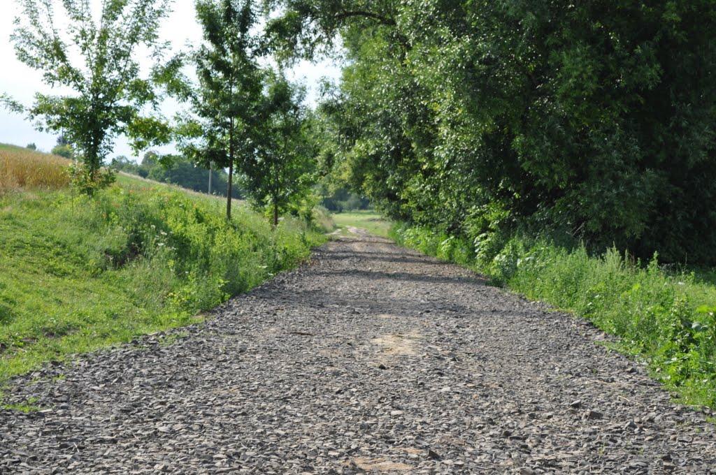 Заріцьк з panoramio.com - Заріцьк