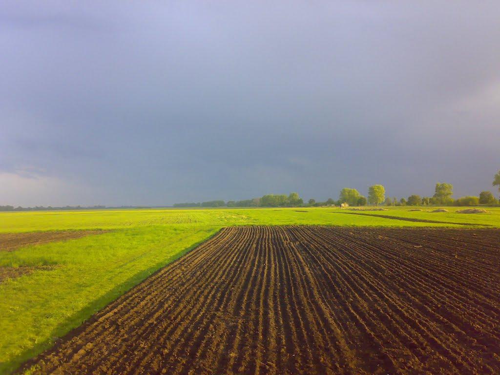 Червоний Плугатар з panoramio.com - Червоный Плугатарь