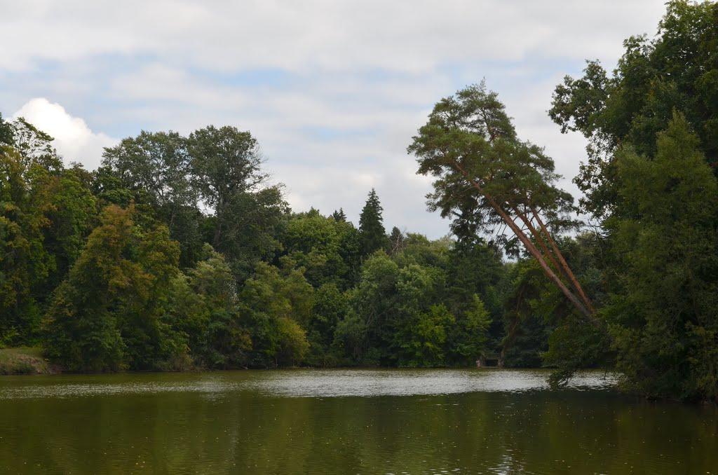 Васьківці з panoramio.com - Васьківці