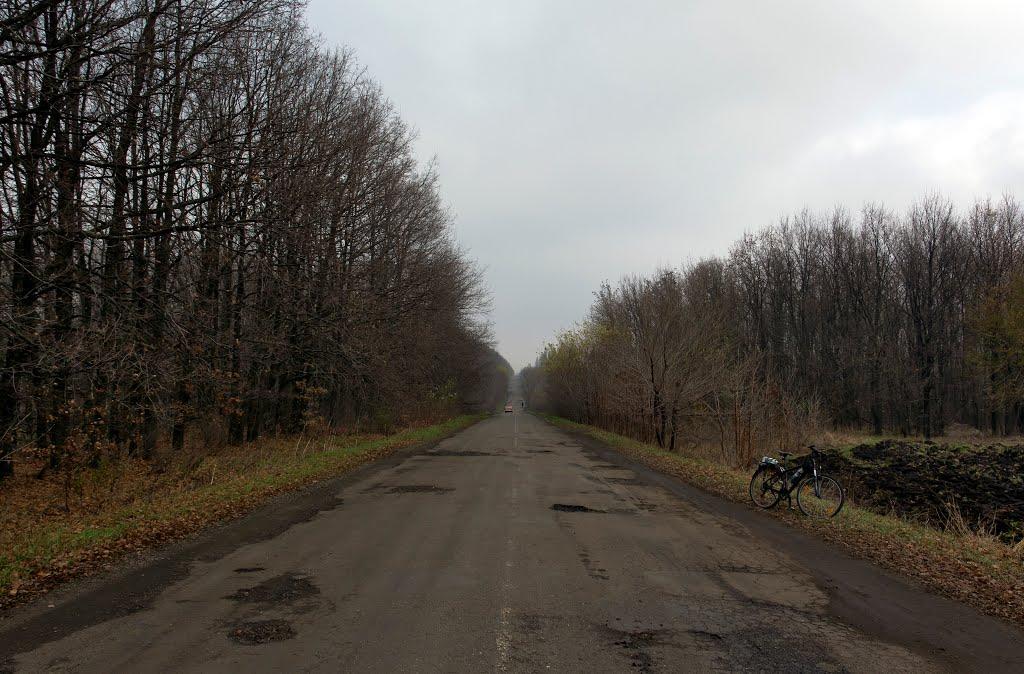 Червонокостянтинівка з panoramio.com - Червонокостянтинівка