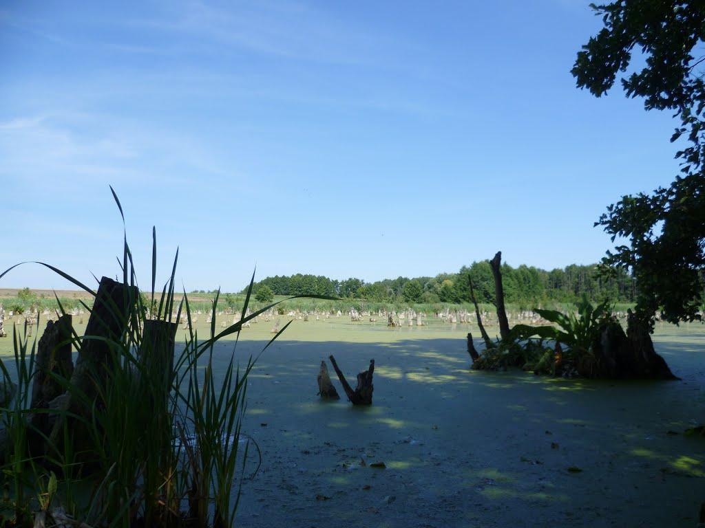 Устивиця з panoramio.com - Устивица