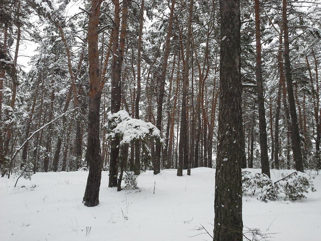 Темнівка з panoramio.com - Темнівка