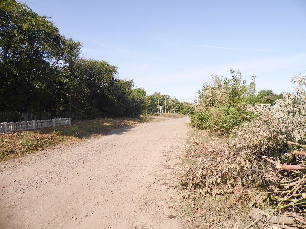 Рогачі з panoramio.com - Рогачі