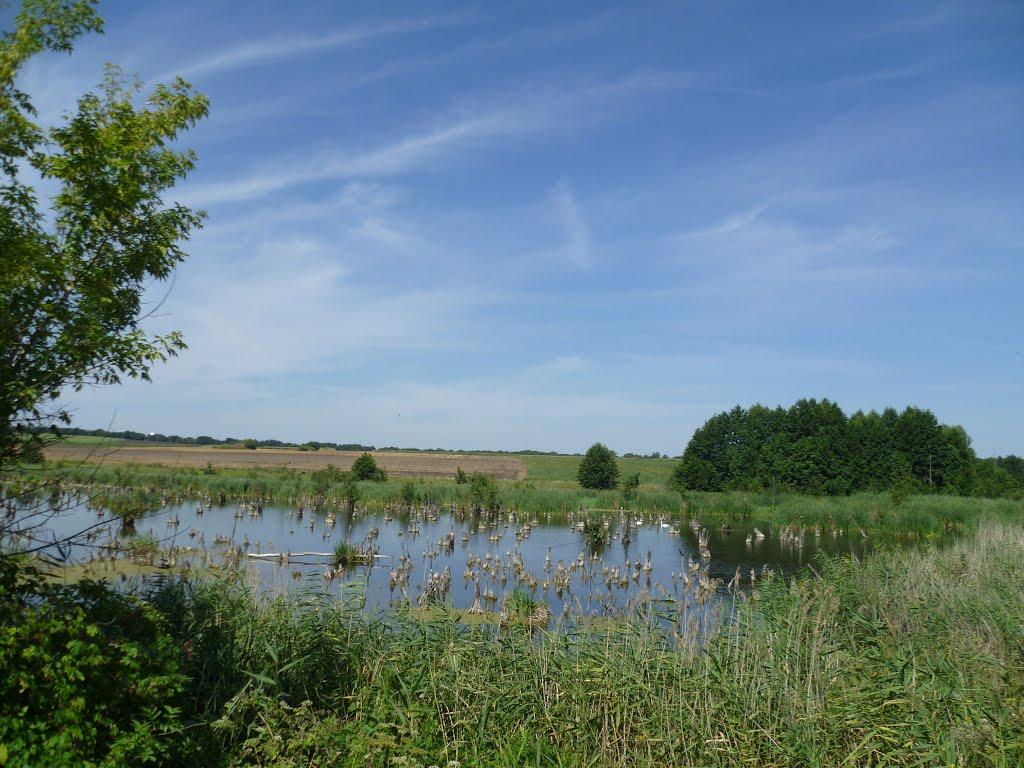 Устивиця з panoramio.com - Устивица