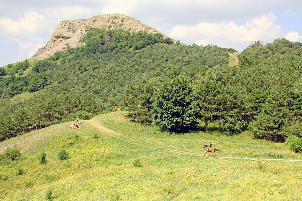 Лаванда з panoramio.com (ч.2) - Lavanda