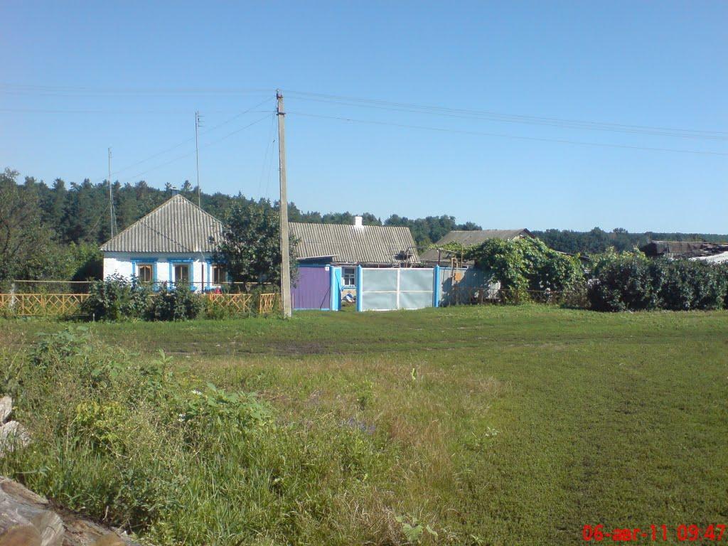 Угроїди з panoramio.com - Угроїди