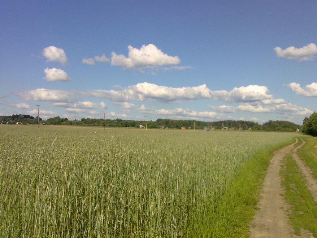 Чорноплатове з panoramio.com - Чорноплатове