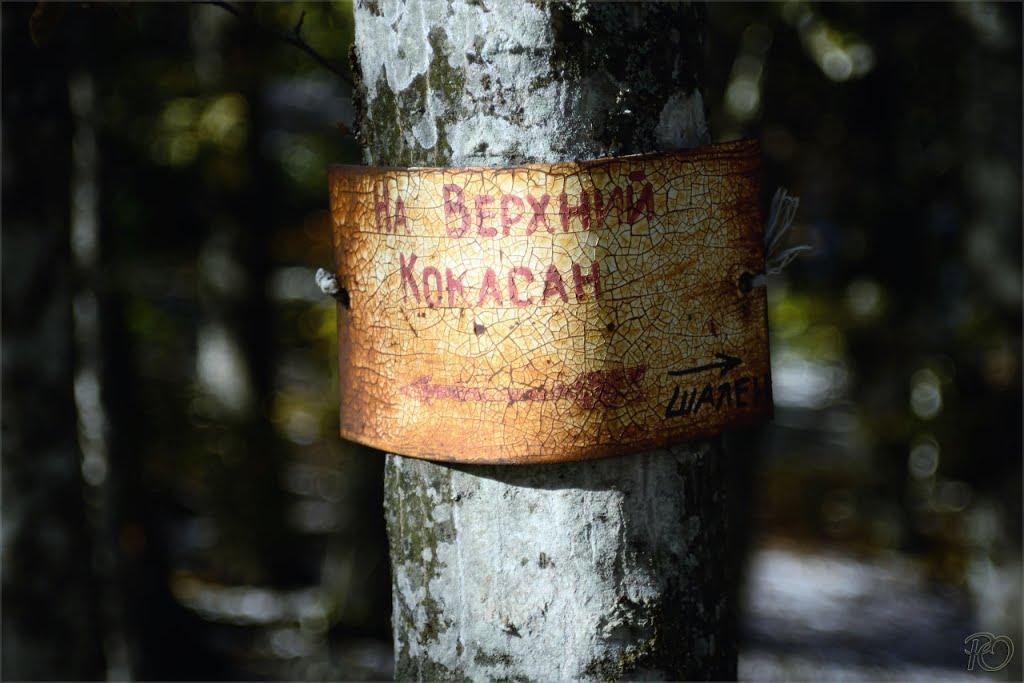 Зеленогір'я з panoramio.com - Зеленогір'я