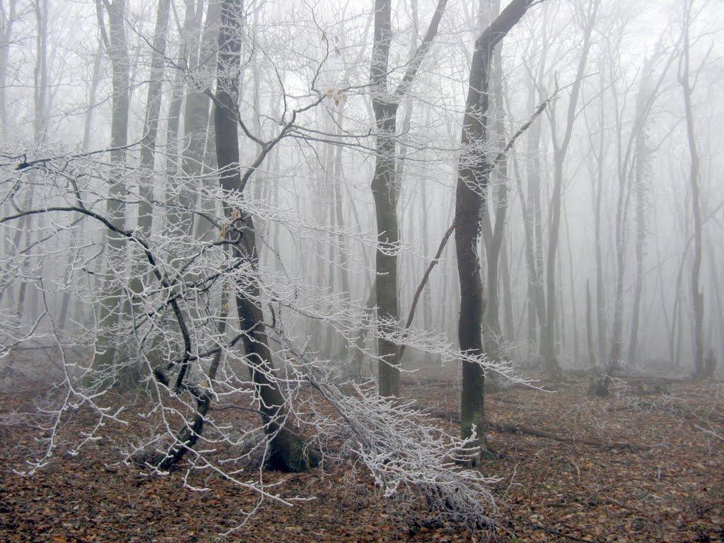 Багате з panoramio.com - Багате