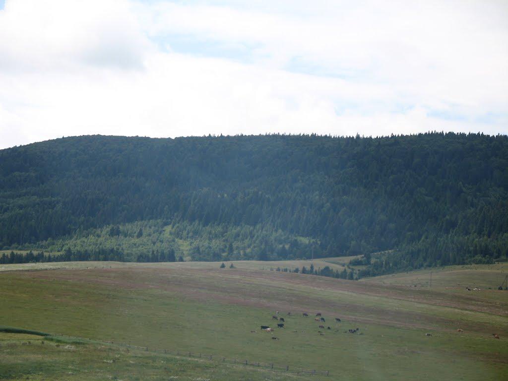 Розлуч з panoramio.com - Розлуч