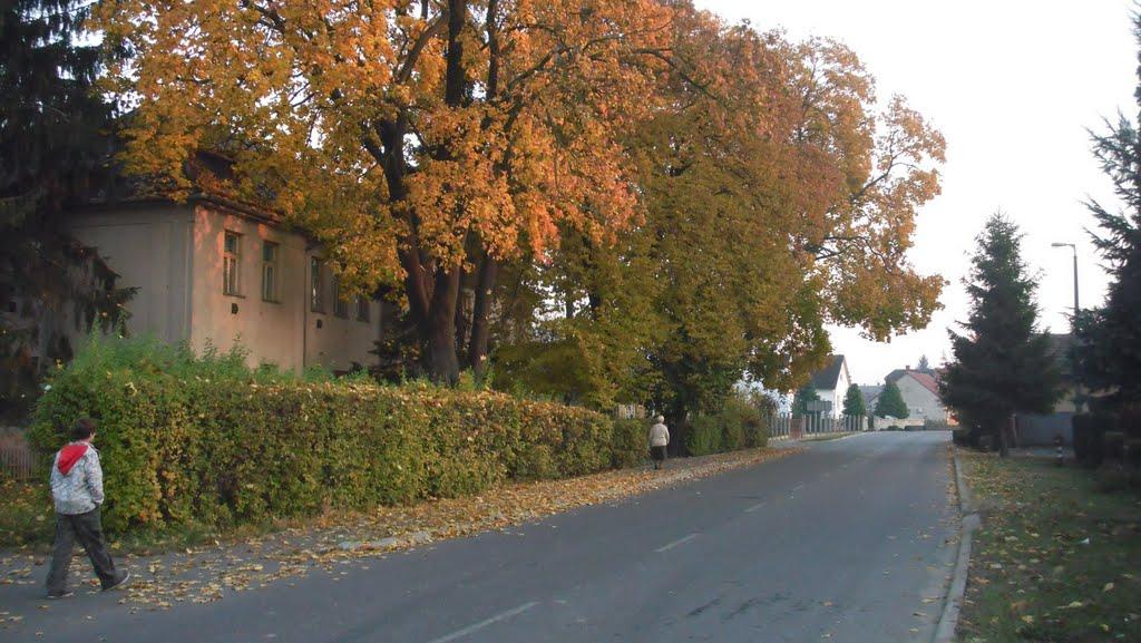 Соломоново з panoramio.com (ч.2) - Solomonovo
