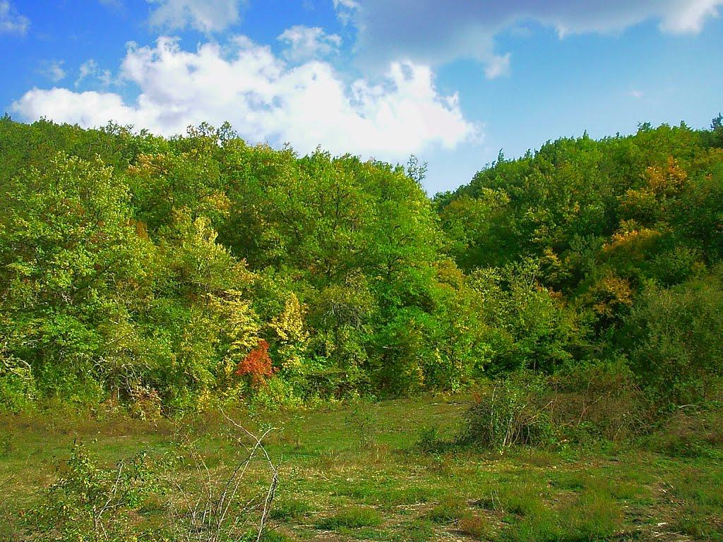 Богатир з panoramio.com - Богатир